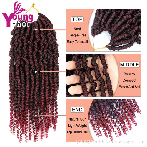 Bomb Nubian Bounce Twist Passion Twist Crochet Hair for Women  Crochet Braids Synthetic Braiding Hair